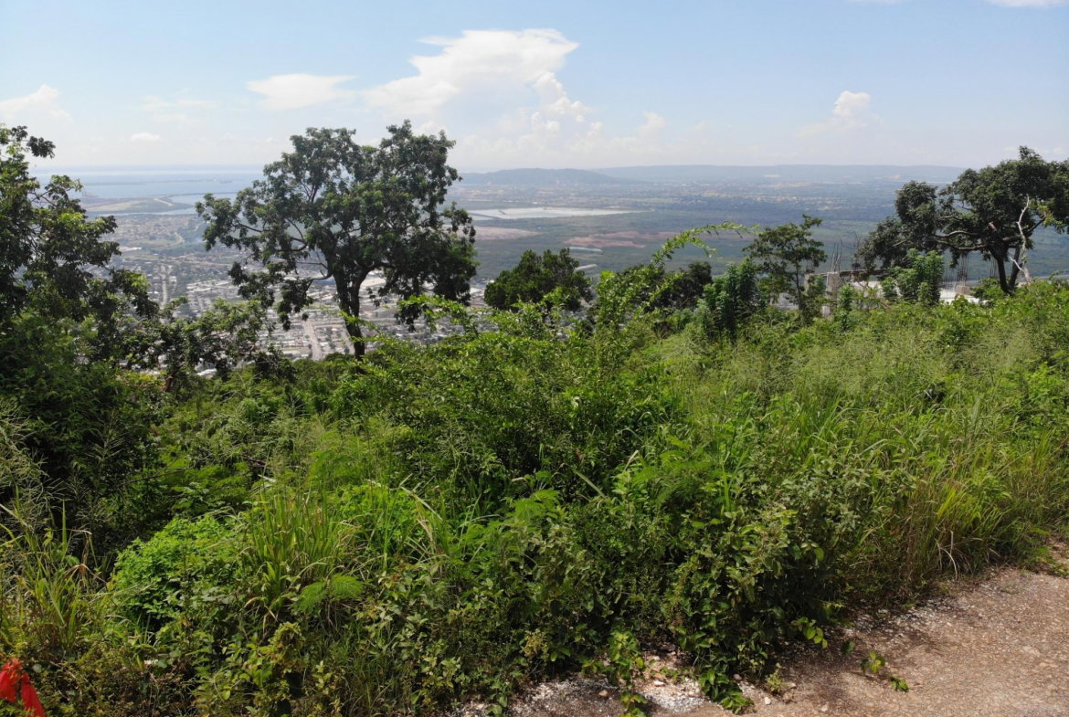 Nineteenth image of 23 Pinewood Drive in Red Hills, St. Andrew, Jamaica - property is For Sale