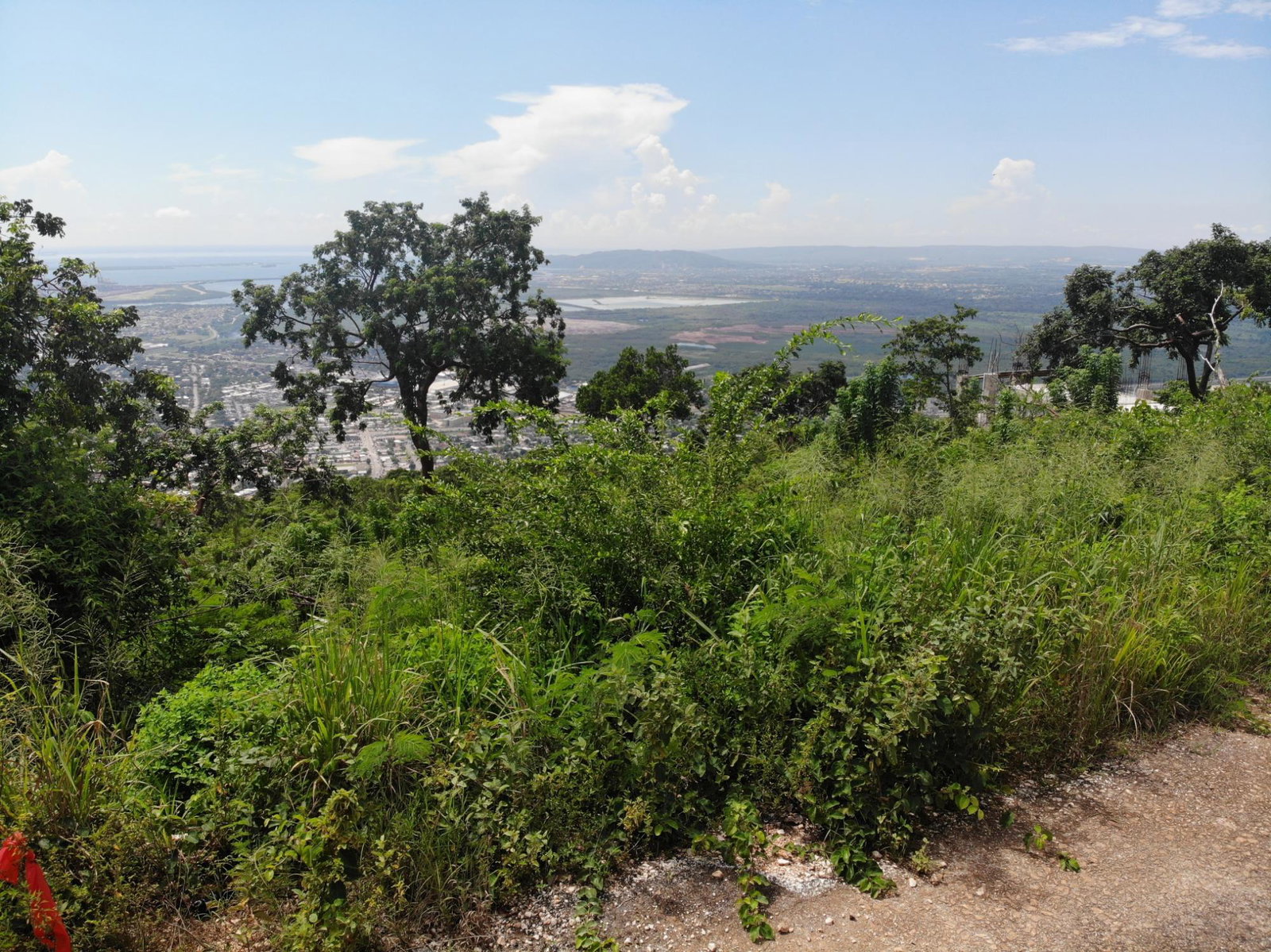 Prime-32000-Sq-Ft-Residential-Lot-for-Sale-23-Pinewood-Drive-St.-Andrew-Jamaica Nineteenth image of 23 Pinewood Drive in Red Hills, St. Andrew, Jamaica - property is For Sale