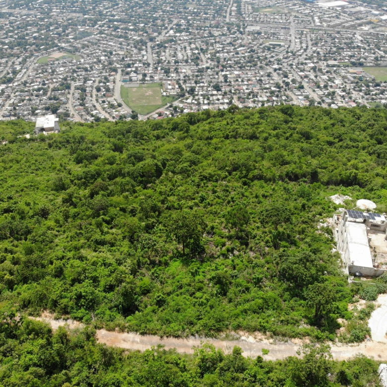 First image of 23 Pinewood Drive in Red Hills, St. Andrew, Jamaica - property is For Sale