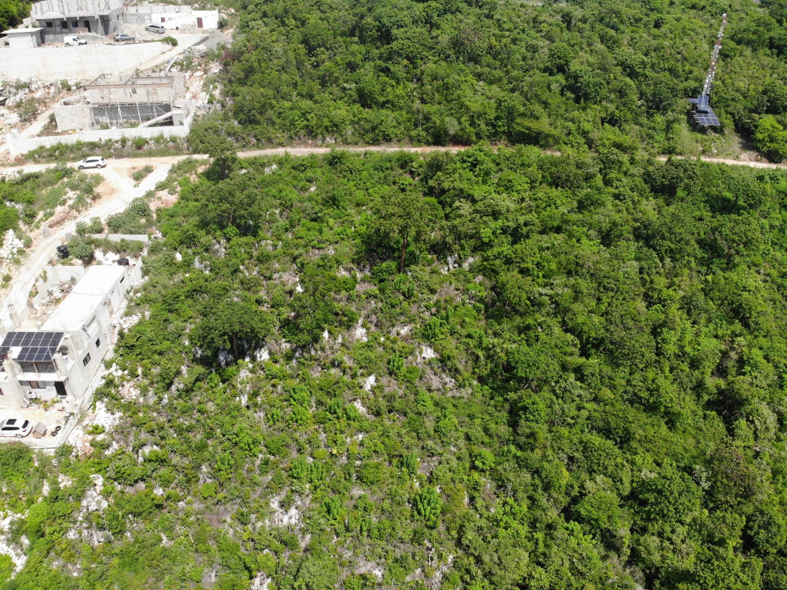 Prime-32000-Sq-Ft-Residential-Lot-for-Sale-23-Pinewood-Drive-St.-Andrew-Jamaica Ninth image of 23 Pinewood Drive in Red Hills, St. Andrew, Jamaica - property is For Sale