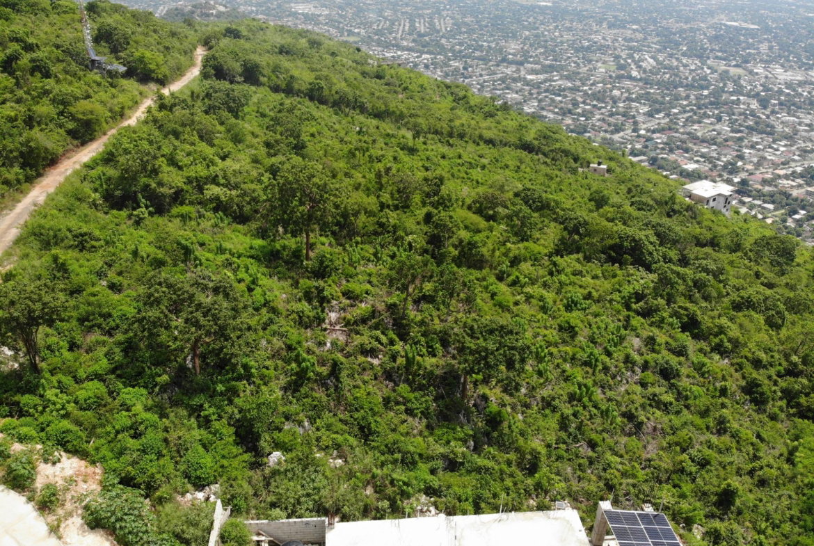 Tenth image of 23 Pinewood Drive in Red Hills, St. Andrew, Jamaica - property is For Sale