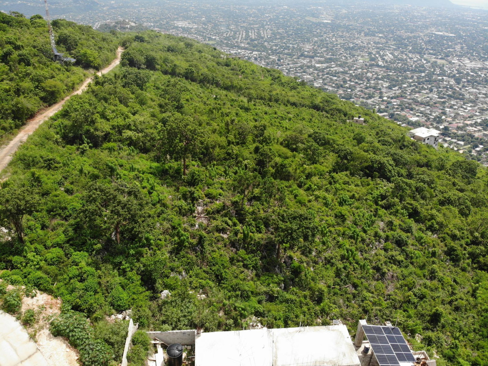Prime-32000-Sq-Ft-Residential-Lot-for-Sale-23-Pinewood-Drive-St.-Andrew-Jamaica Tenth image of 23 Pinewood Drive in Red Hills, St. Andrew, Jamaica - property is For Sale