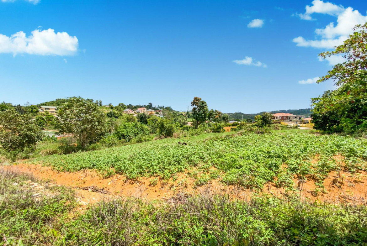 Second image of Lot 25- Denham Farm in Christiana, Manchester, Jamaica - property is For Sale