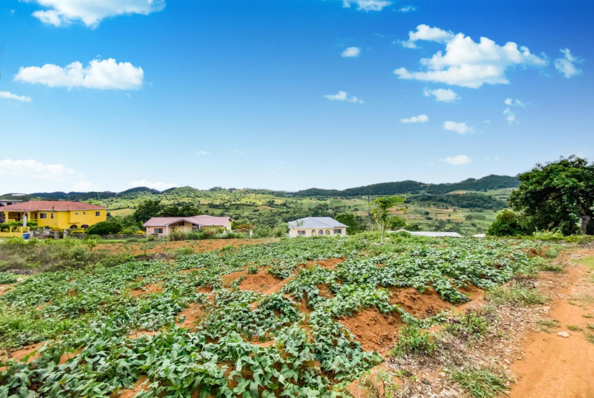 First image of Lot 25- Denham Farm in Christiana, Manchester, Jamaica - property is For Sale