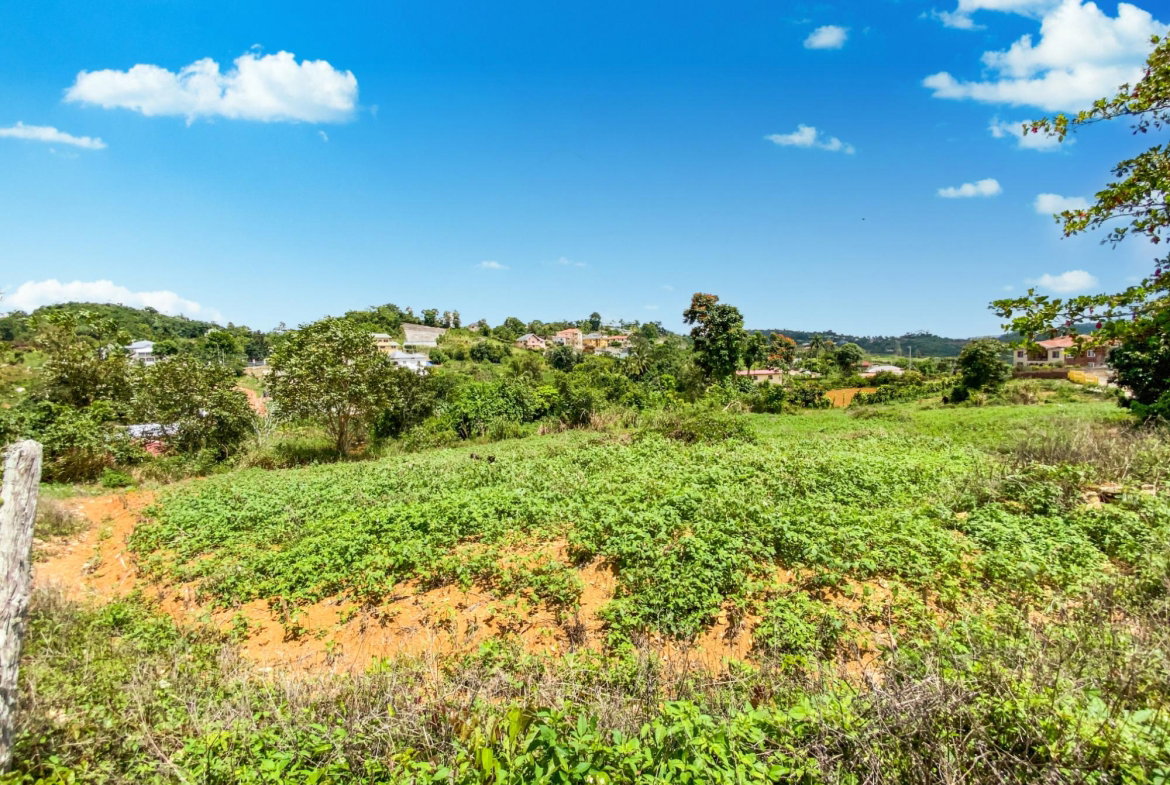 Third image of Lot 25- Denham Farm in Christiana, Manchester, Jamaica - property is For Sale
