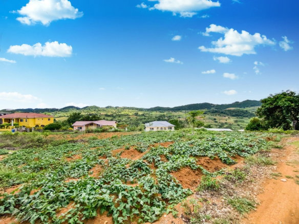 First image of Lot 25- Denham Farm in Christiana, Manchester, Jamaica - property is For Sale