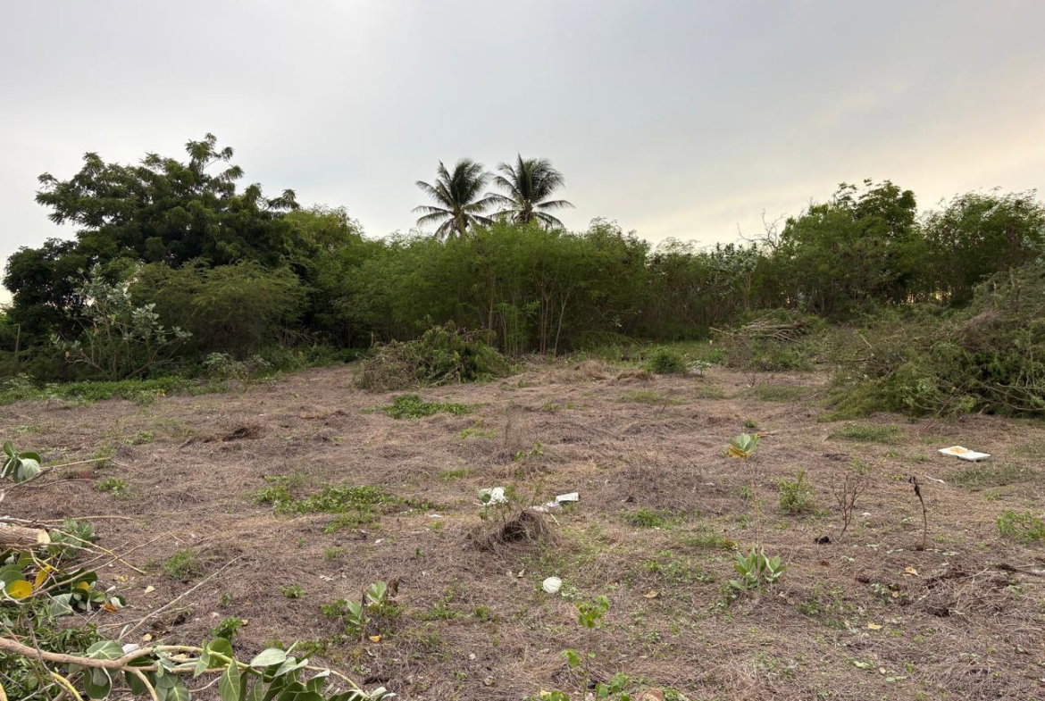 Seventh image of Lot 21 Old Wharf, Treasure Beach in Treasure Beach, St. Elizabeth, Jamaica - property is For Sale