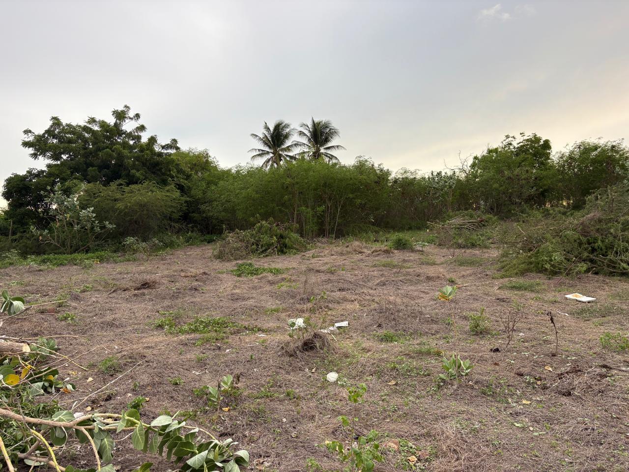 Seventh image of Lot 21 Old Wharf, Treasure Beach in Treasure Beach, St. Elizabeth, Jamaica - property is For Sale