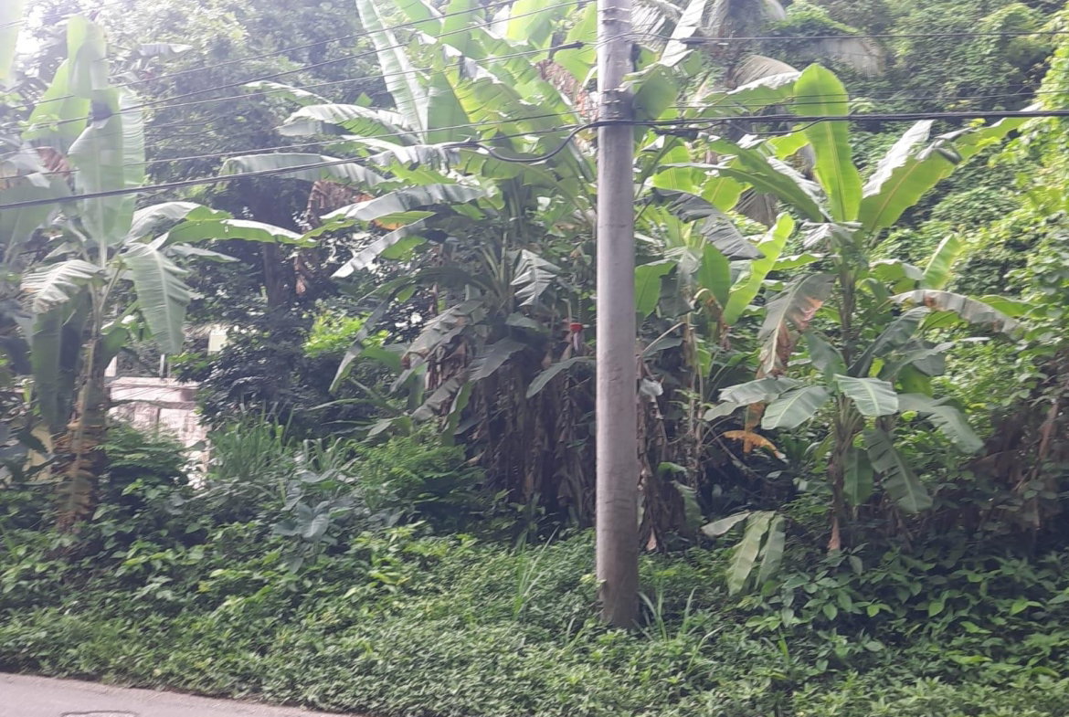 Second image of Bridgemount Heights in Constant Spring P.O., St. Andrew, Jamaica - property is For Sale