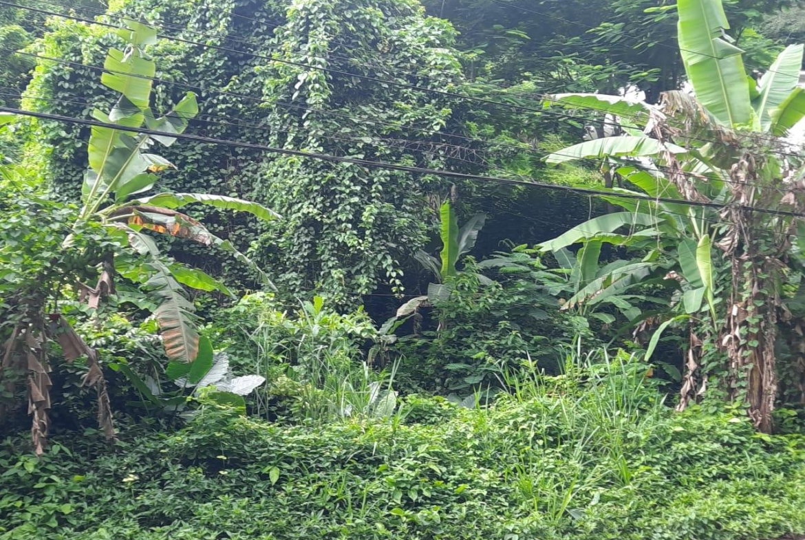 First image of Bridgemount Heights in Constant Spring P.O., St. Andrew, Jamaica - property is For Sale