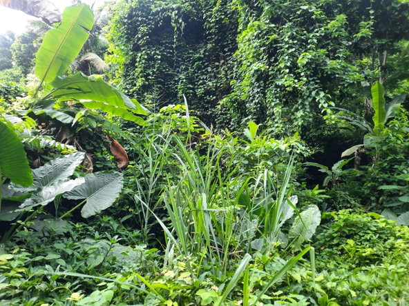 Third image of Bridgemount Heights in Constant Spring P.O., St. Andrew, Jamaica - property is For Sale