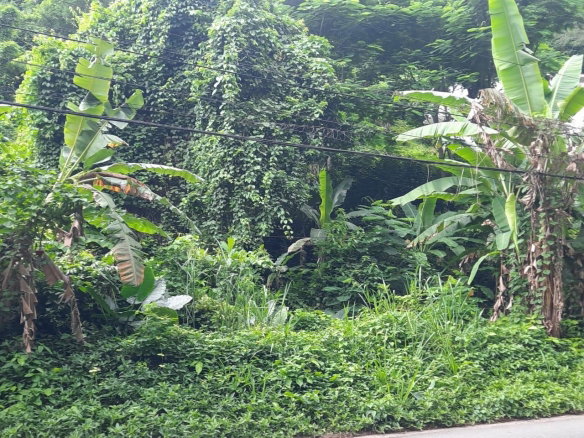 First image of Bridgemount Heights in Constant Spring P.O., St. Andrew, Jamaica - property is For Sale