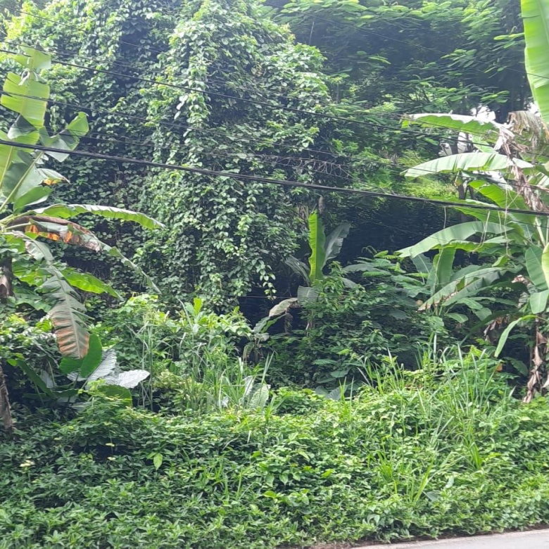 First image of Bridgemount Heights in Constant Spring P.O., St. Andrew, Jamaica - property is For Sale