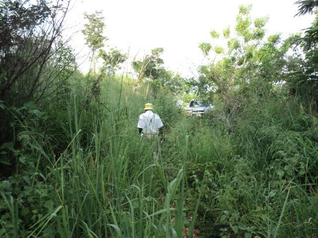 Second image of Pinewood Dr. Patrick Hgts in Red Hills, St. Andrew, Jamaica - property is For Sale