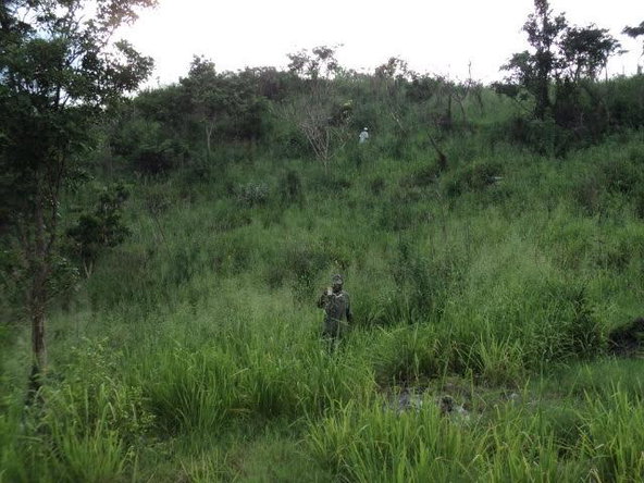 Twelfth image of Pinewood Dr. Patrick Hgts in Red Hills, St. Andrew, Jamaica - property is For Sale