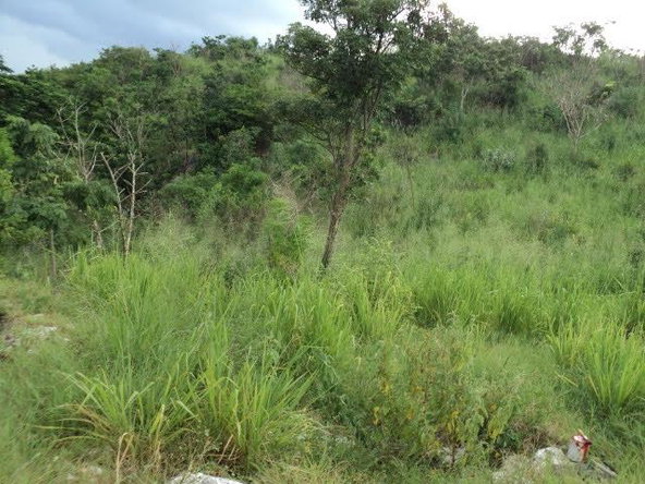 Thirteenth image of Pinewood Dr. Patrick Hgts in Red Hills, St. Andrew, Jamaica - property is For Sale