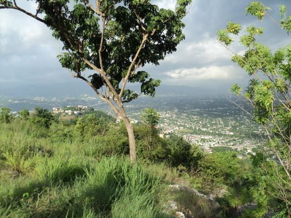 Sixteenth image of Pinewood Dr. Patrick Hgts in Red Hills, St. Andrew, Jamaica - property is For Sale