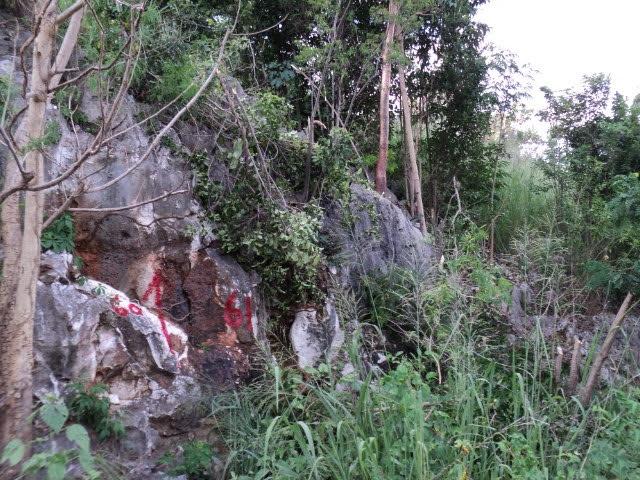 Nineteenth image of Pinewood Dr. Patrick Hgts in Red Hills, St. Andrew, Jamaica - property is For Sale