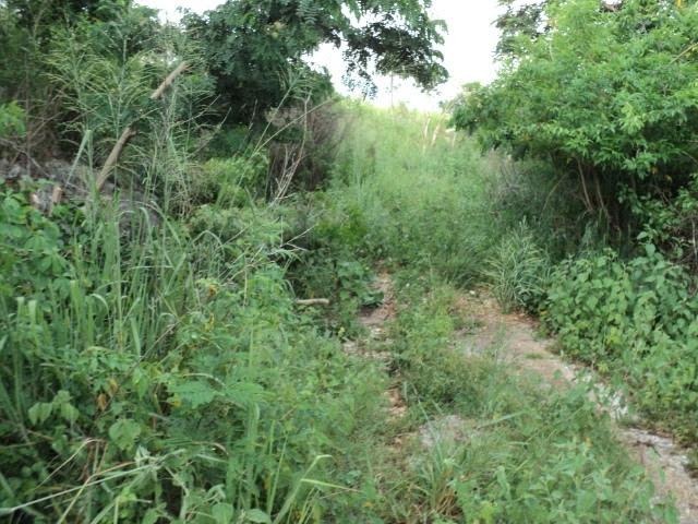 Third image of Pinewood Dr. Patrick Hgts in Red Hills, St. Andrew, Jamaica - property is For Sale