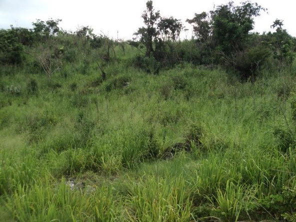 Eighth image of Pinewood Dr. Patrick Hgts in Red Hills, St. Andrew, Jamaica - property is For Sale