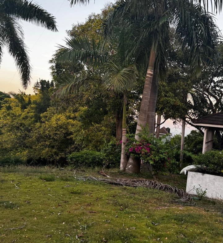 Second image of Part of Sans Souci in St. Ann's Bay, St. Ann, Jamaica - property is For Sale