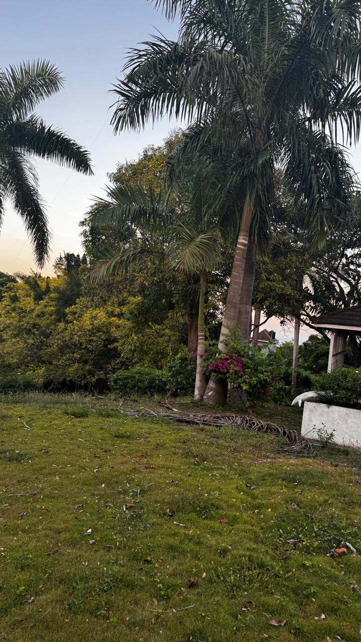 Prime-Development-Land-for-Sale-in-St.-Anns-Bay-Jamaica-Residential-Opportunity Second image of Part of Sans Souci in St. Ann's Bay, St. Ann, Jamaica - property is For Sale