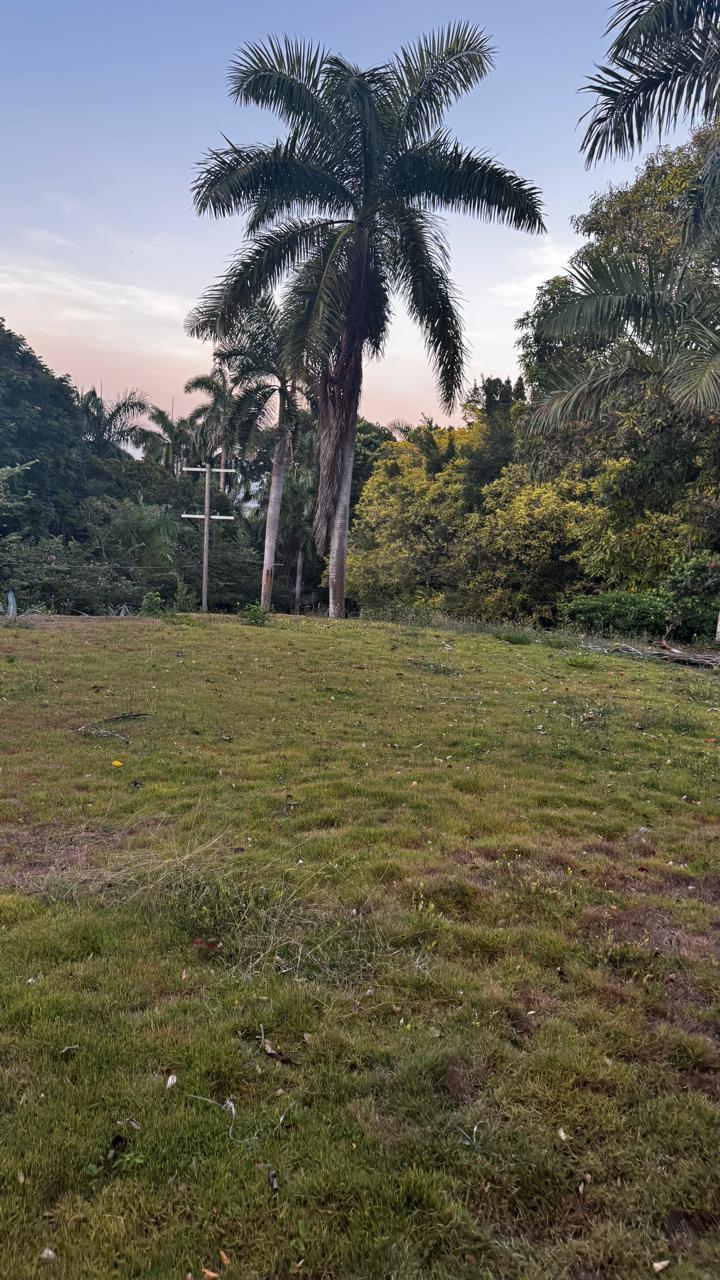 Prime-Development-Land-for-Sale-in-St.-Anns-Bay-Jamaica-Residential-Opportunity Third image of Part of Sans Souci in St. Ann's Bay, St. Ann, Jamaica - property is For Sale