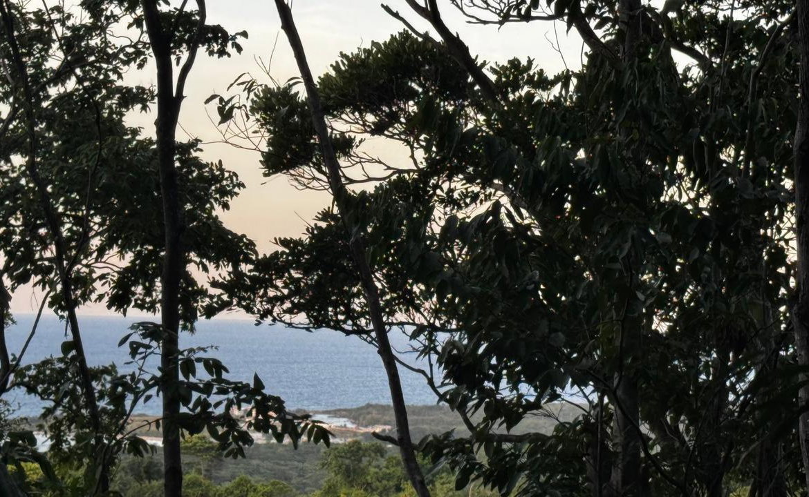 Fourth image of Part of Sans Souci in St. Ann's Bay, St. Ann, Jamaica - property is For Sale