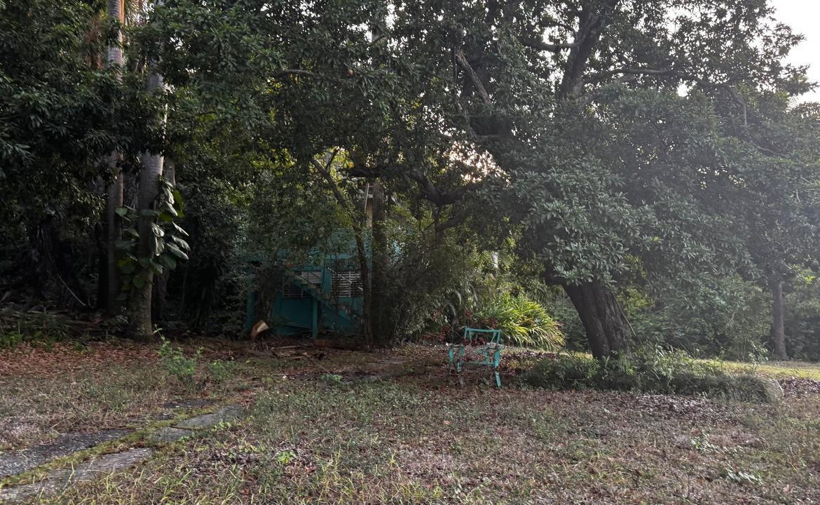 Fifth image of Part of Sans Souci in St. Ann's Bay, St. Ann, Jamaica - property is For Sale