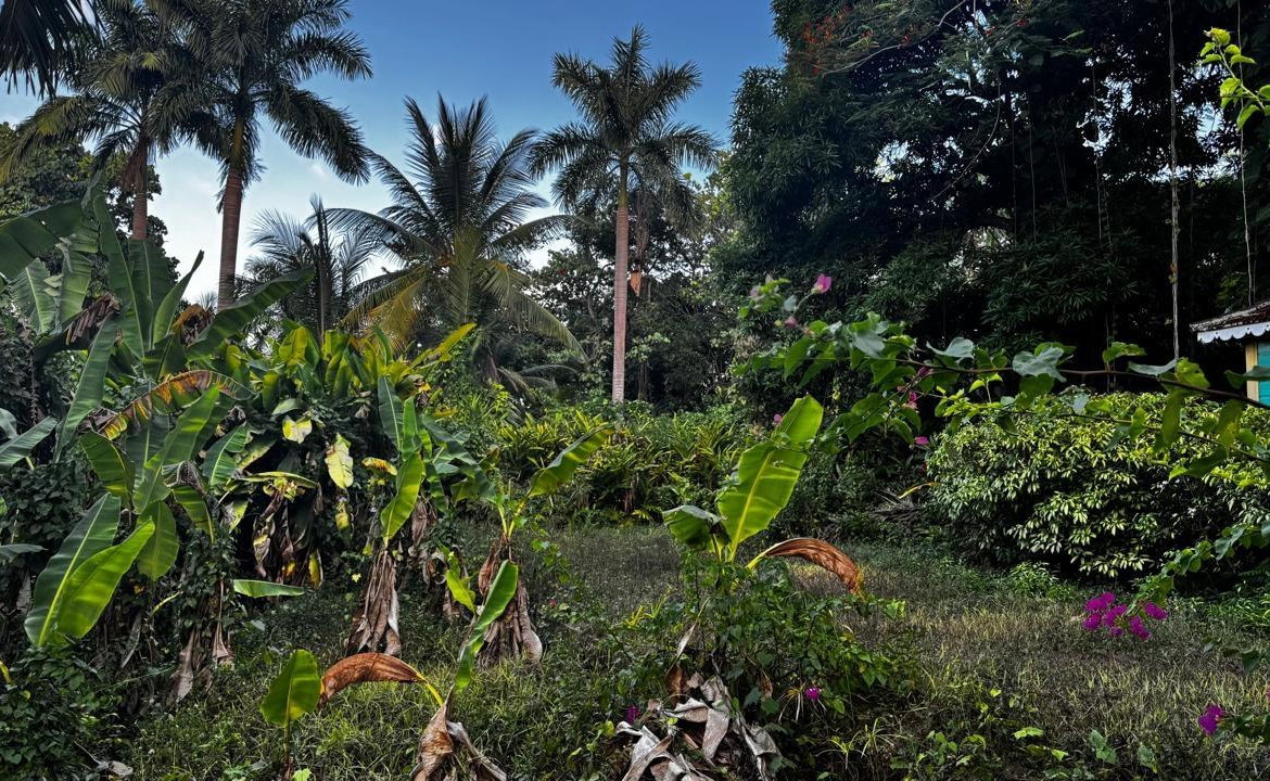 Sixth image of Part of Sans Souci in St. Ann's Bay, St. Ann, Jamaica - property is For Sale
