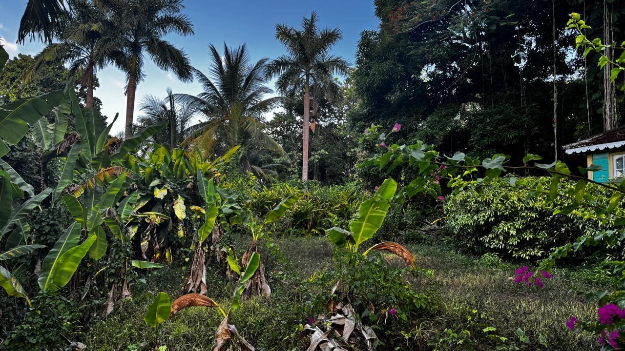Prime-Development-Land-for-Sale-in-St.-Anns-Bay-Jamaica-Residential-Opportunity Sixth image of Part of Sans Souci in St. Ann's Bay, St. Ann, Jamaica - property is For Sale