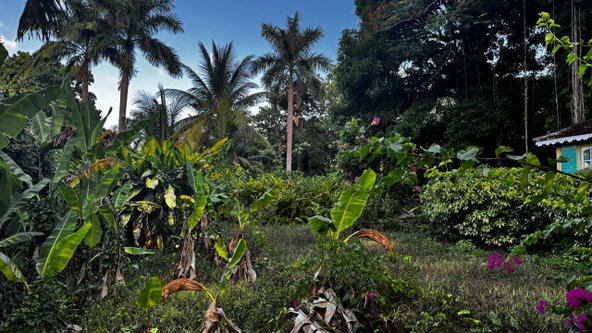 Sixth image of Part of Sans Souci in St. Ann's Bay, St. Ann, Jamaica - property is For Sale