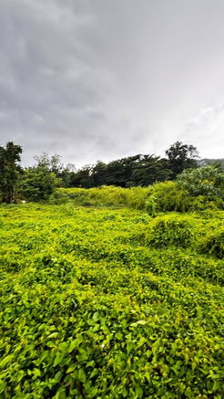First image of Part of Sans Souci in St. Ann's Bay, St. Ann, Jamaica - property is For Sale