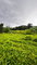 First image of Part of Sans Souci in St. Ann's Bay, St. Ann, Jamaica - property is For Sale