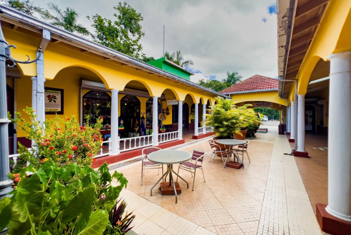 Eighth image of Norman Manley Boulevard in Negril, Westmoreland, Jamaica - property is For Sale