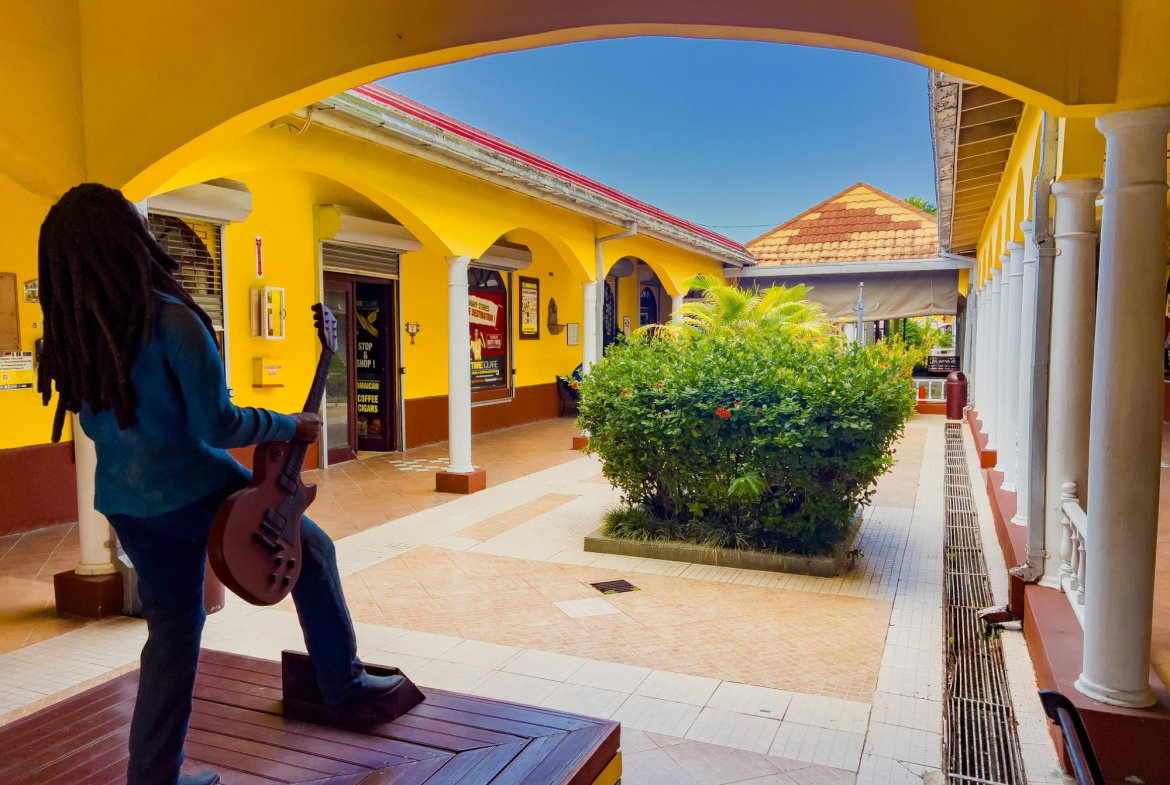 Ninth image of Norman Manley Boulevard in Negril, Westmoreland, Jamaica - property is For Sale