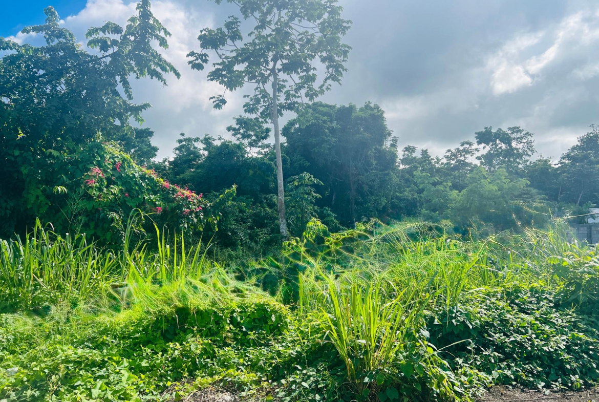 Sixth image of Ocho Rios Bypass, St. Ann in Ocho Rios, St. Ann, Jamaica - property is For Sale