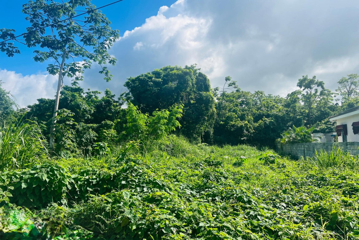 Seventh image of Ocho Rios Bypass, St. Ann in Ocho Rios, St. Ann, Jamaica - property is For Sale