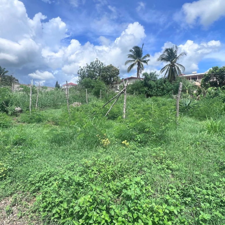 First image of 403 st Livingston Green Acres in Green Acres, St. Catherine, Jamaica - property is For Sale