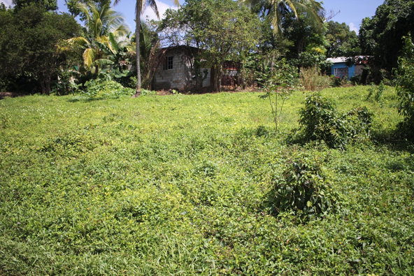 Third image of Middle Quarters in MIDDLE QUARTERS, St. Elizabeth, Jamaica - property is For Sale