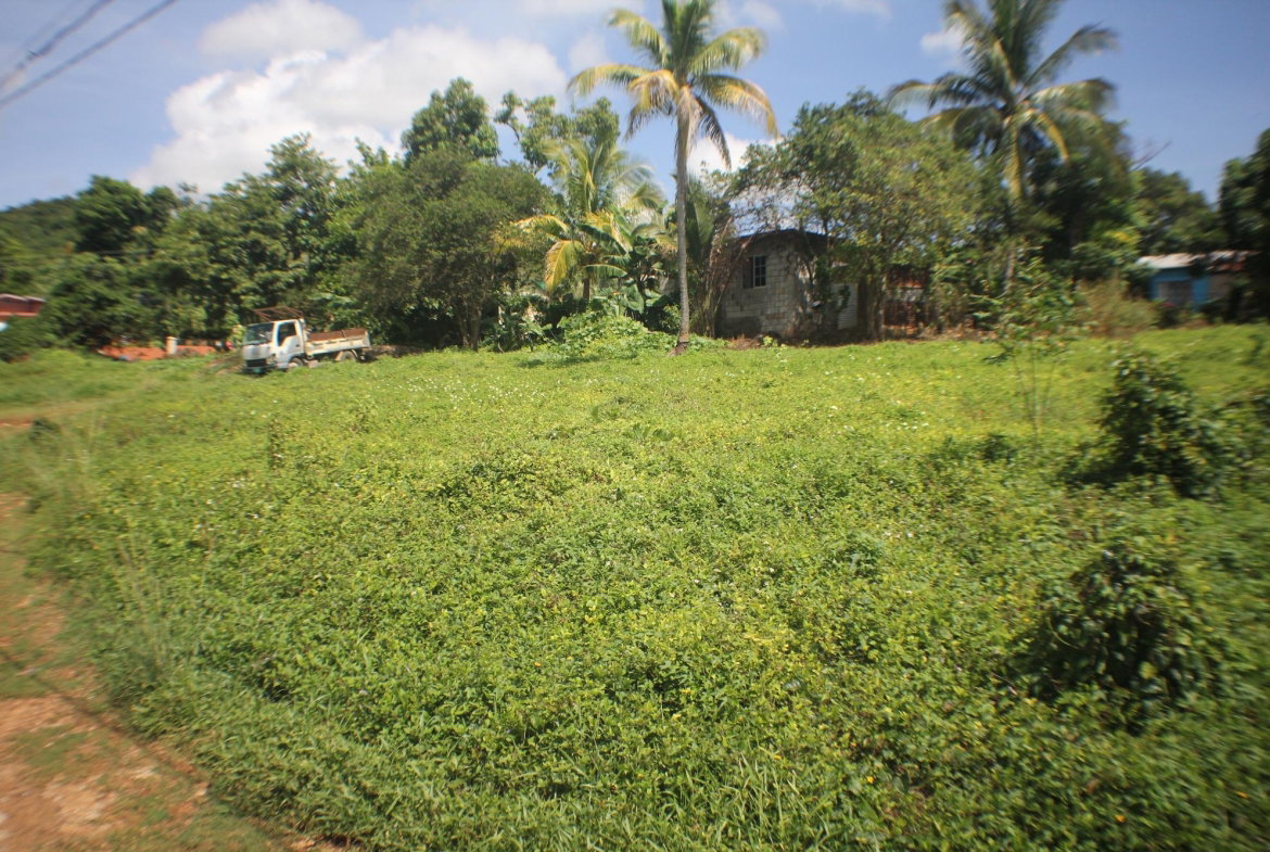 Fourth image of Middle Quarters in MIDDLE QUARTERS, St. Elizabeth, Jamaica - property is For Sale