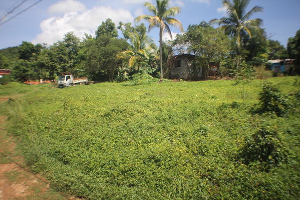 Fourth image of Middle Quarters in MIDDLE QUARTERS, St. Elizabeth, Jamaica - property is For Sale