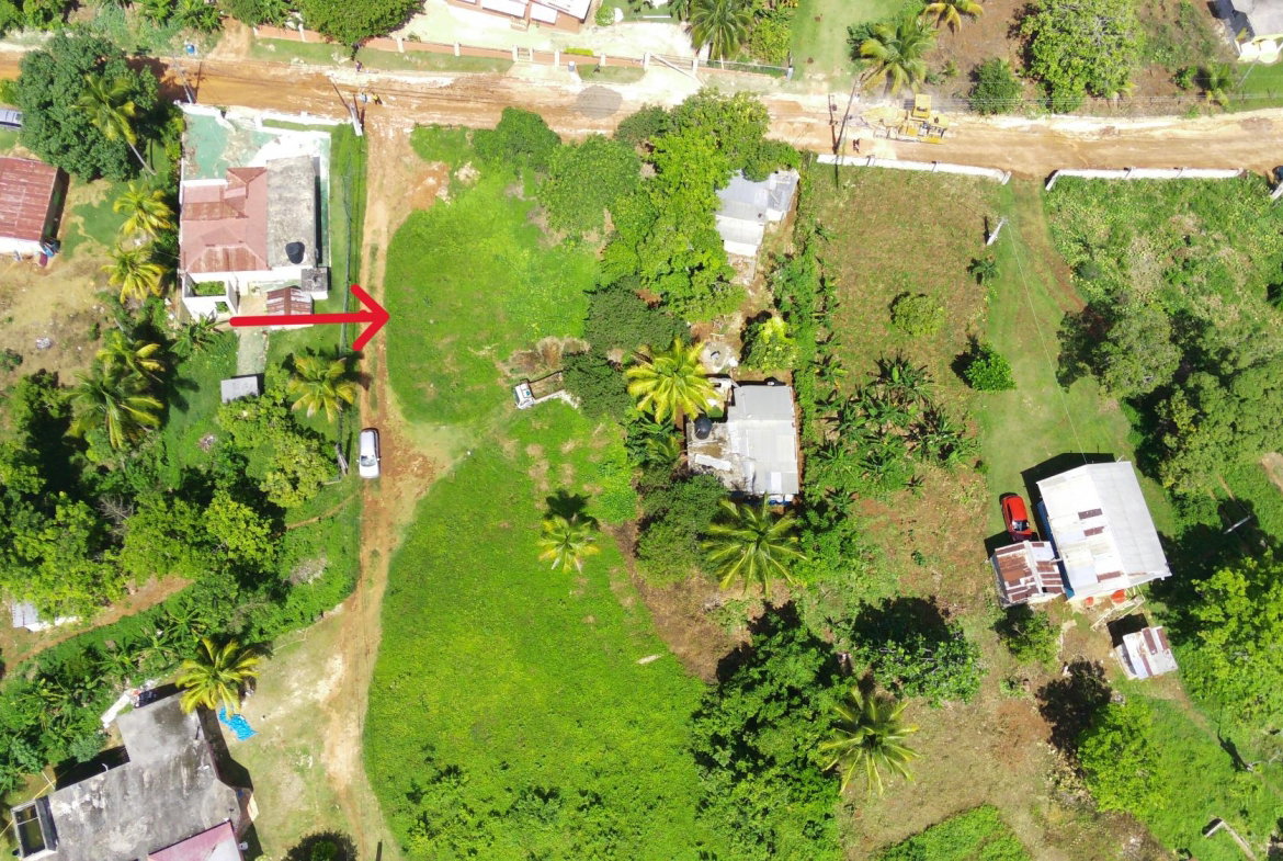 Eighth image of Middle Quarters in MIDDLE QUARTERS, St. Elizabeth, Jamaica - property is For Sale