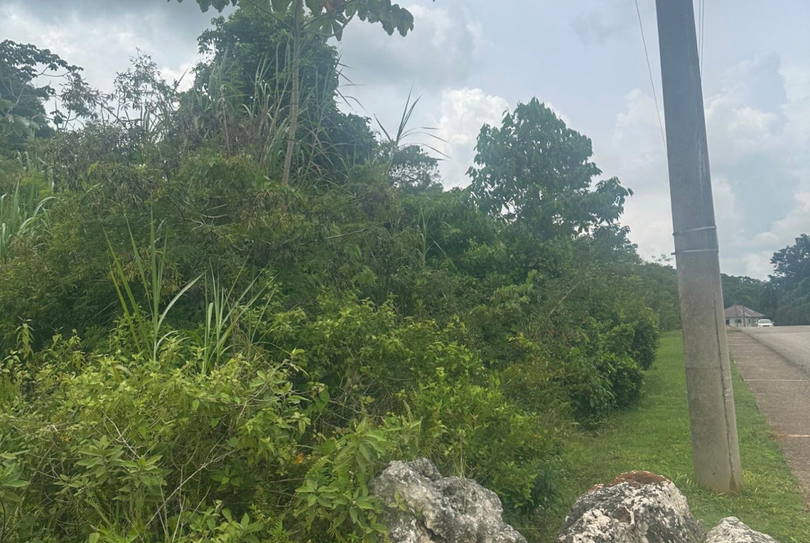 Sixth image of Lot 15 Moorlands Blvd in Mooreland, Manchester, Jamaica - property is For Sale