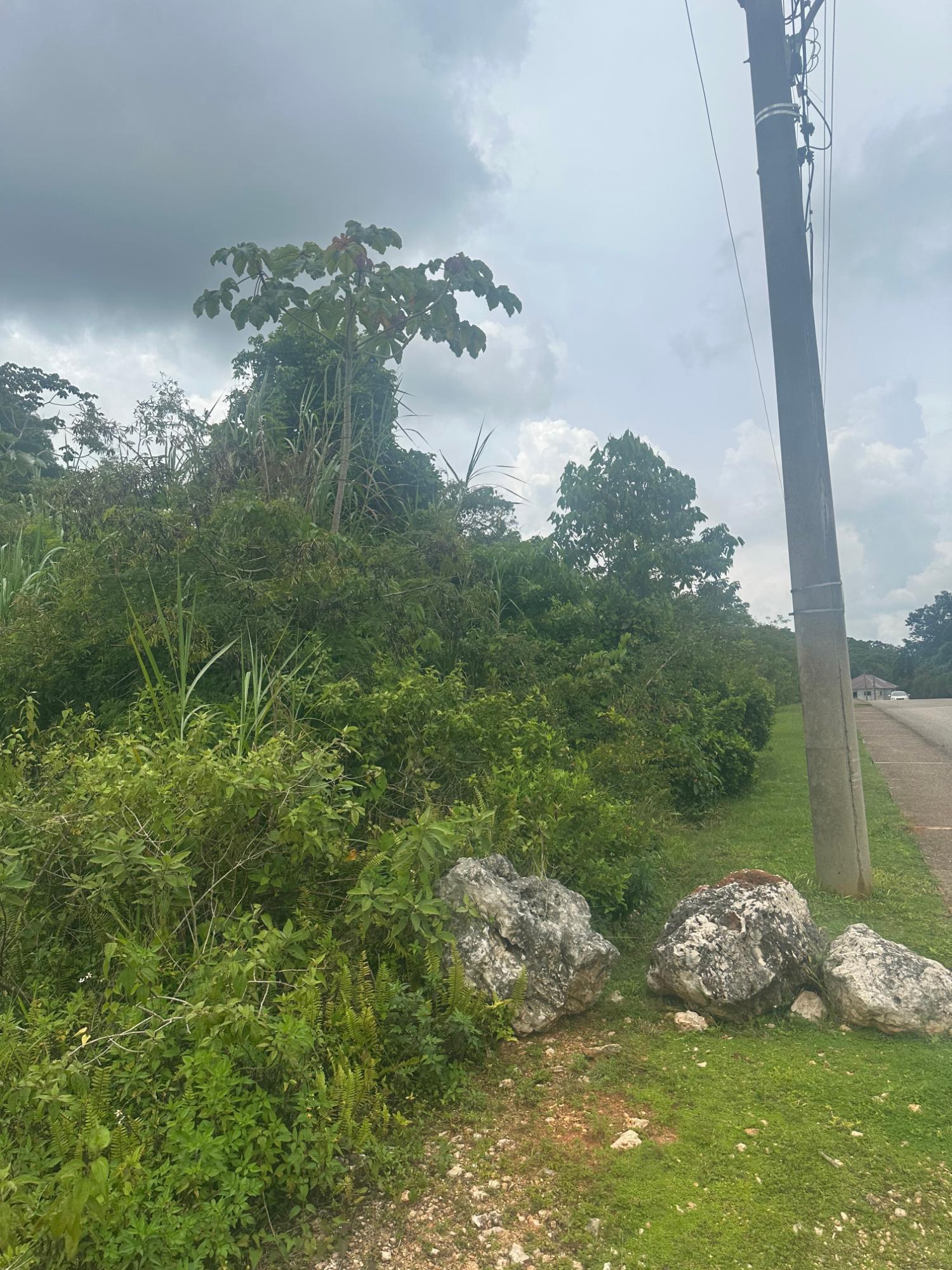 Prime-Residential-Lot-for-Sale-in-Moorlands-Estate-Mandeville-Manchester Sixth image of Lot 15 Moorlands Blvd in Mooreland, Manchester, Jamaica - property is For Sale