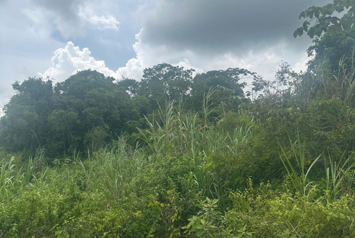 Seventh image of Lot 15 Moorlands Blvd in Mooreland, Manchester, Jamaica - property is For Sale