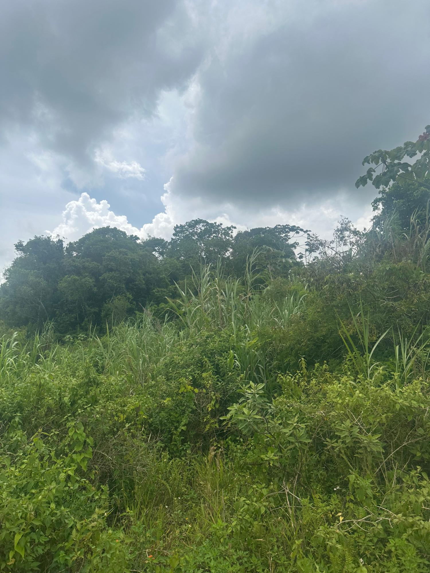 Prime-Residential-Lot-for-Sale-in-Moorlands-Estate-Mandeville-Manchester Seventh image of Lot 15 Moorlands Blvd in Mooreland, Manchester, Jamaica - property is For Sale