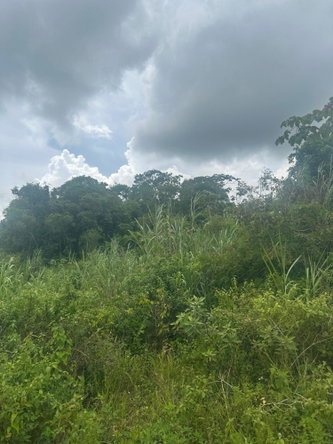 Seventh image of Lot 15 Moorlands Blvd in Mooreland, Manchester, Jamaica - property is For Sale