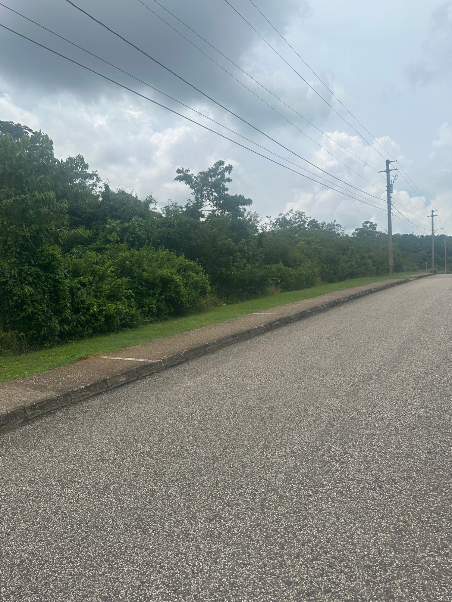Prime-Residential-Lot-for-Sale-in-Moorlands-Estate-Mandeville-Manchester Eighth image of Lot 15 Moorlands Blvd in Mooreland, Manchester, Jamaica - property is For Sale