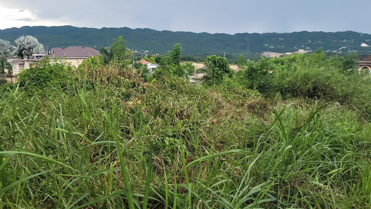Sixth image of 393 & 394 Phoenix Drive in Westgate Hills, St. James, Jamaica - property is For Sale